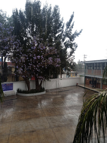 preparatorias Ecatepec de Morelos