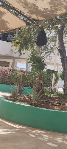 preparatorias Cabo San Lucas